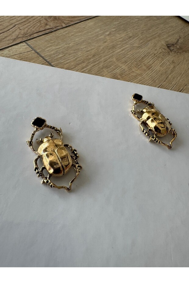 أقراط حشرة الحظ - 2