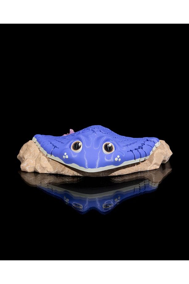 Manta Ray Biblo - 8