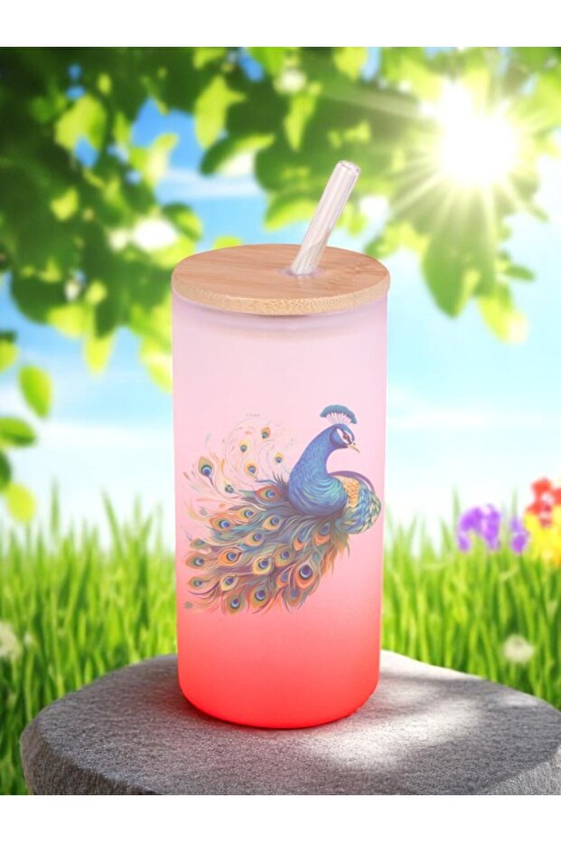 Peacock Printed Glass Water Bottle with Straw 600 ml - Water Bottle Water Bottle Water Bottle
