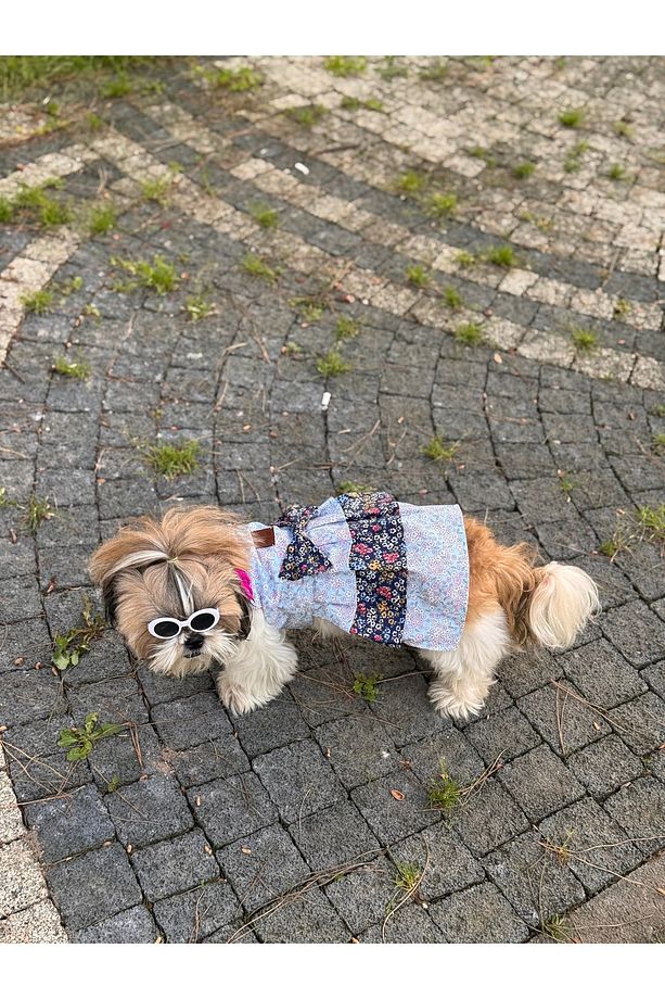 Köpek Elbisesi Kedi Elbisesi Kıyafeti Mavi Lacivert Çiçekli Poplin Kumaş - 2