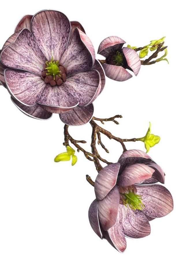 Yapay Çiçek Lila Eva Manolya 2 Çiçek 1 Tomurcuk Uzun Dal Çiçek Flowers 55cm Gerçeksi Doku - 2