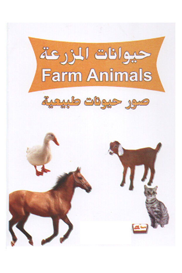 مجموعة بطاقات 4 مجموعة - 4