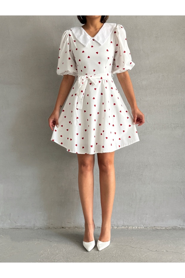 Women's Patterned Collar Detailed Balloon Sleeve Dress