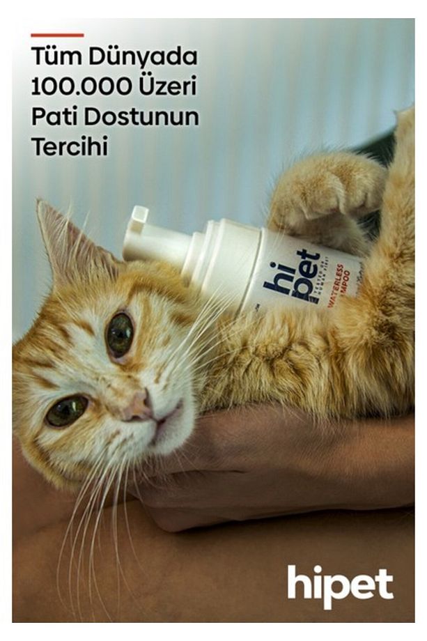 Kedi Kuru Şampuan - 5