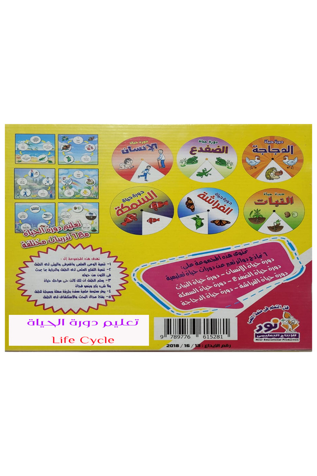 Life cycle education - 2