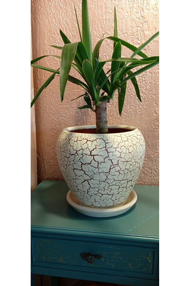 Toprak vazo saksı - 2