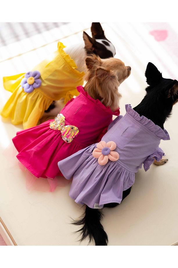 Köpek Elbise - Köpek Kıyafeti (Çiçekli elbise) - 7