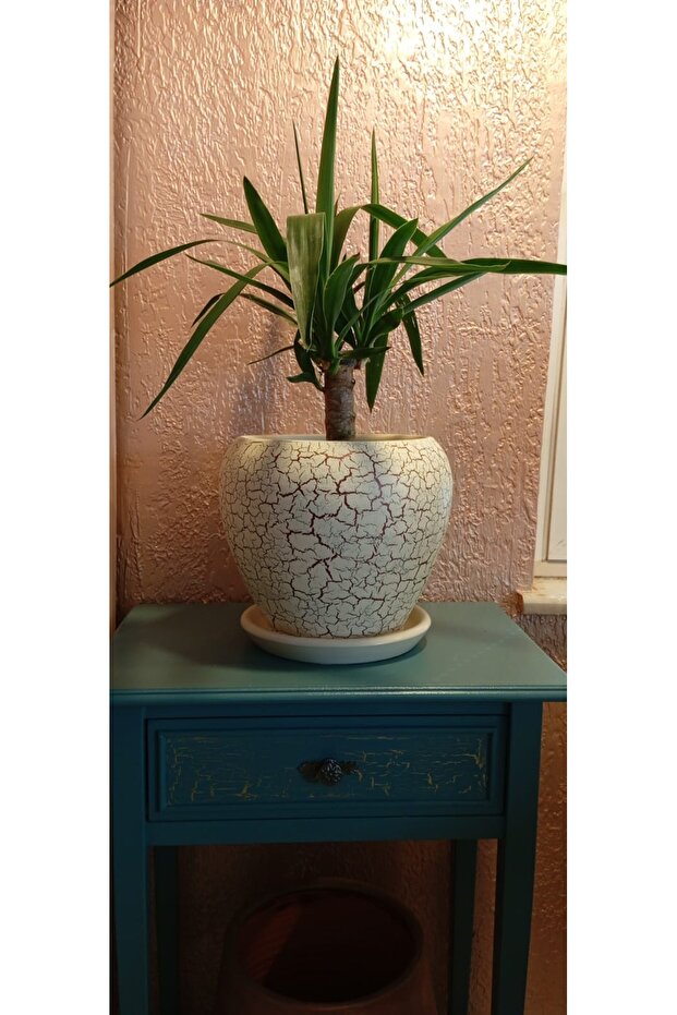 Toprak vazo saksı - 1