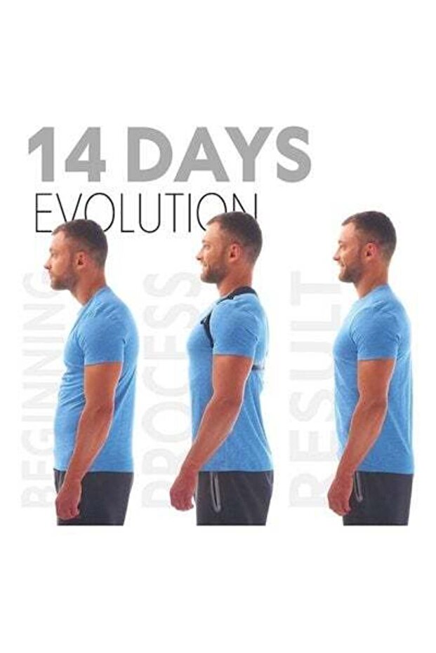 حزام دعم الوضعية القابل للتعديل - 2