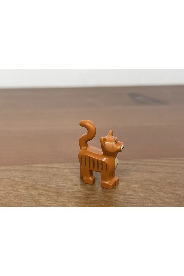 Orjinal Kedi -cat - 3