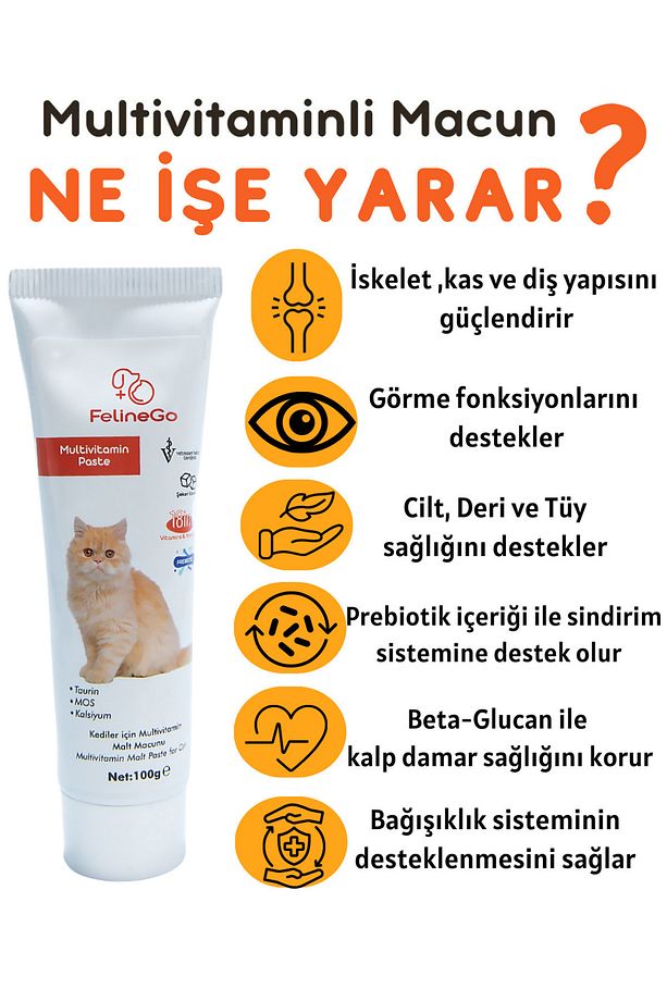 Kedi Multivitamin Macunu 100gr - Kedi Multivitamini - 2