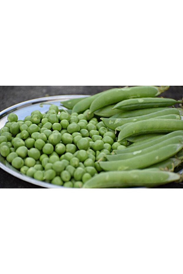 Yerli Taze Bezelye 1 Kg - 2