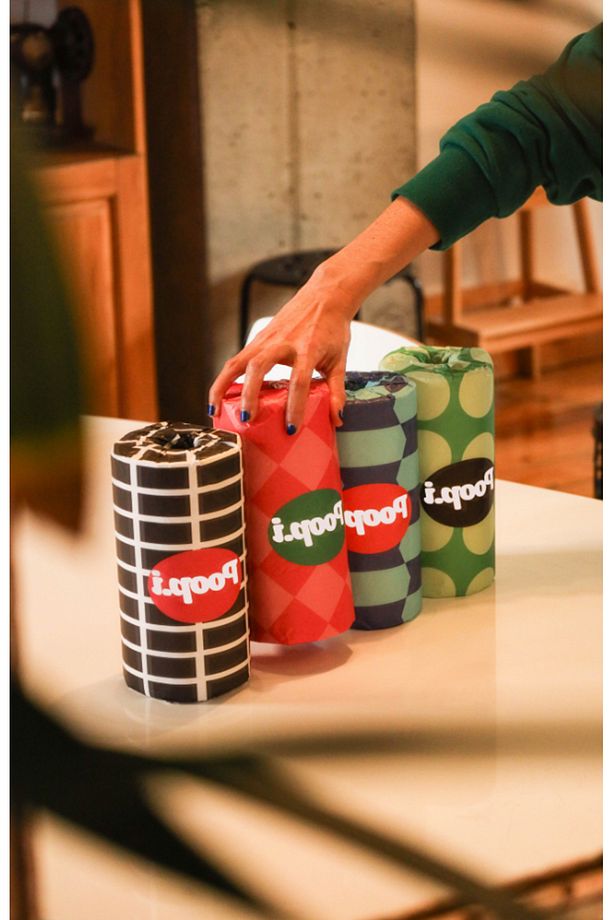 Pop Edition Kağıt Havlu 2 Katlı 6 Rulo 1=2.5 Extra Uzun Poopi - 8