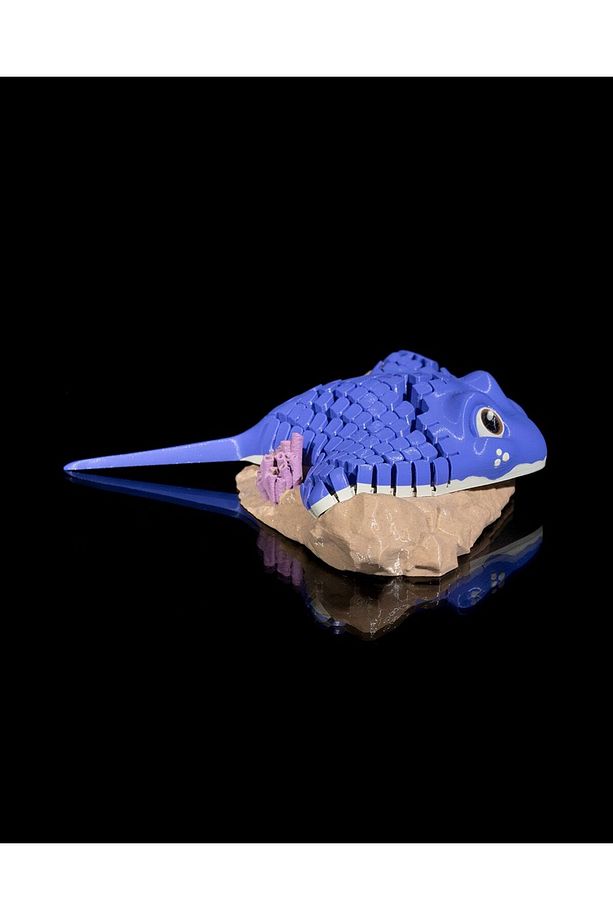 Manta Ray Biblo - 5