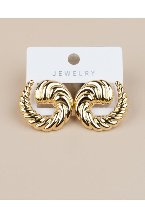 Elysia Convex Curved Spiral Earrings