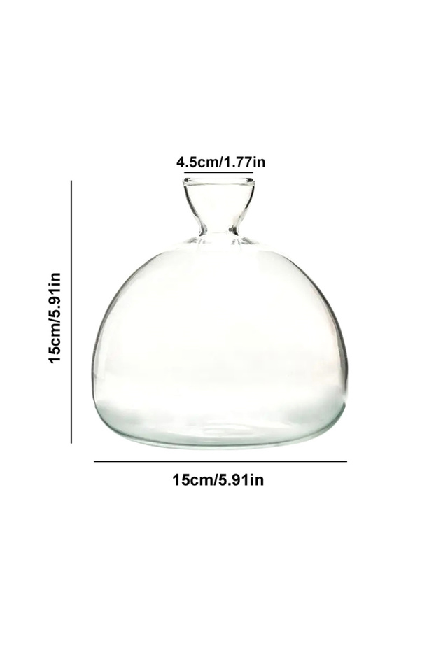 15x15cm Avocado Seed Starter Vase Transparent Glass Vase Vase For Growing Plant Glass Seed Growing K