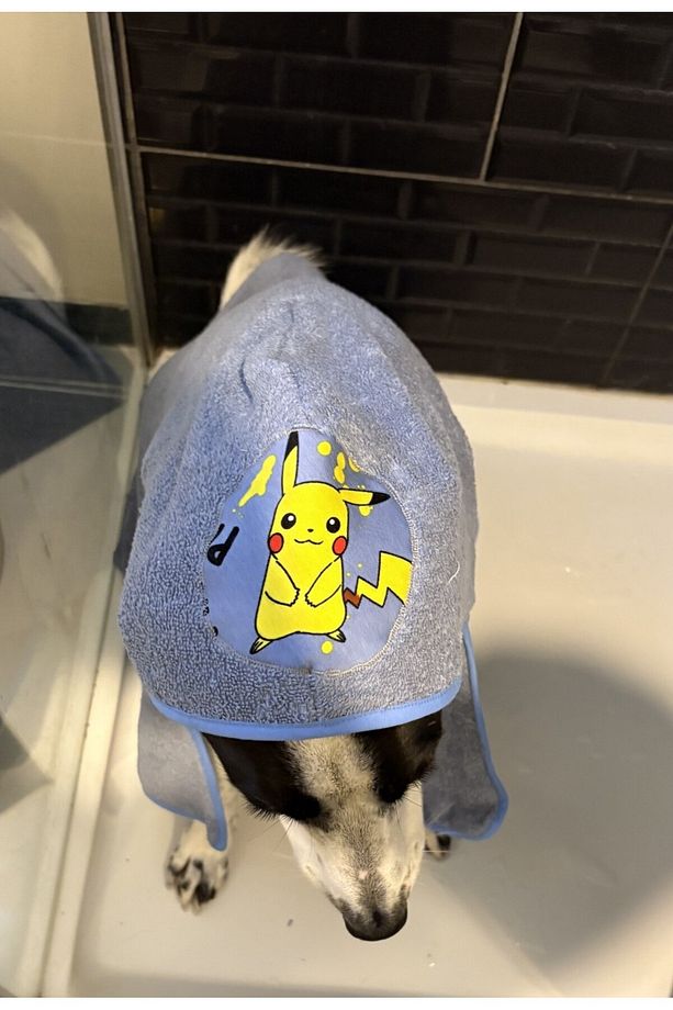 Köpek Koton Banyo Havlusu - Bebe Mavi - 3
