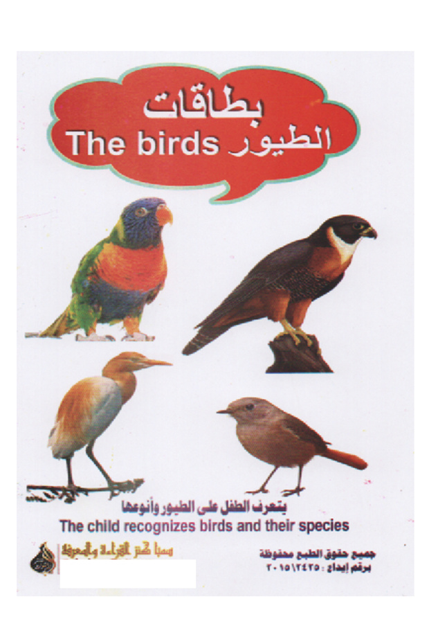 مجموعة بطاقات 4 مجموعة - 3