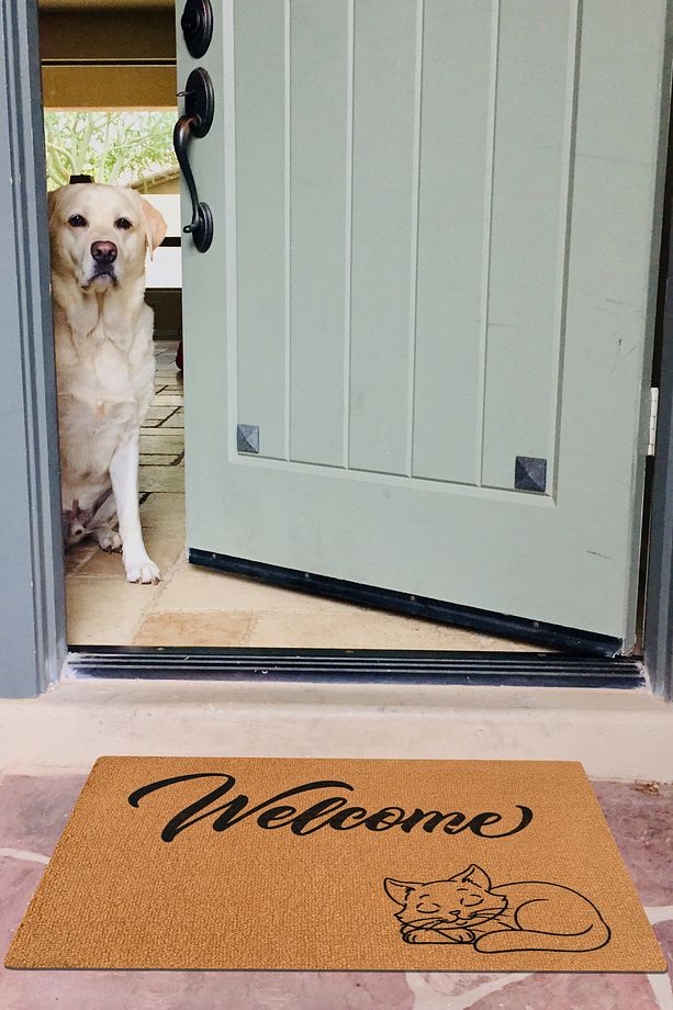 welcome, uyuyan kedi, kedi desenli kapı önü paspası, ev hediyesi paspas, çeyiz eşyası, dış kapı için - 1