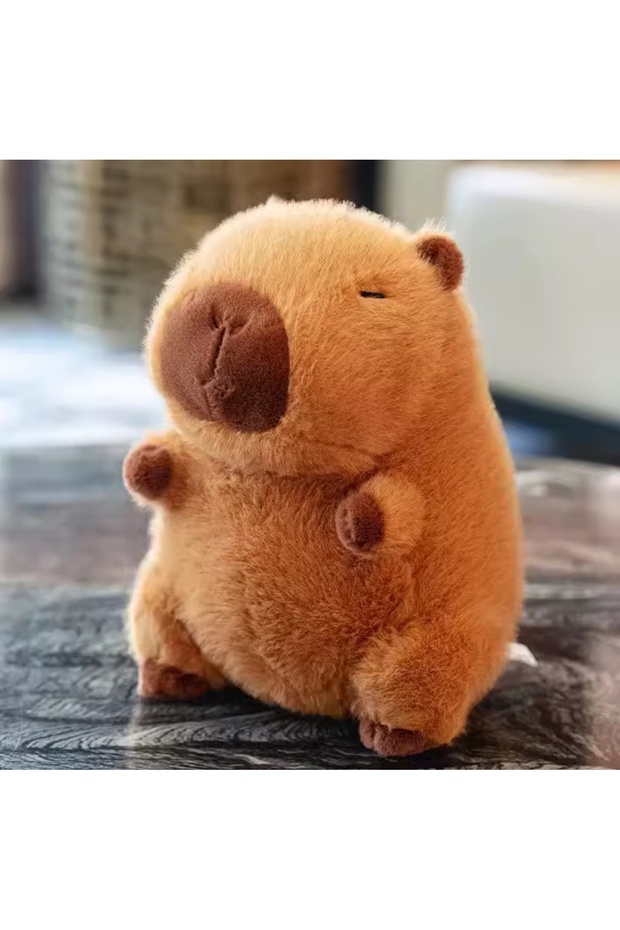 Capybara Plush Toy Capybara Plush Sleeping Companion Kawaii Anime 25cm Gift Plush