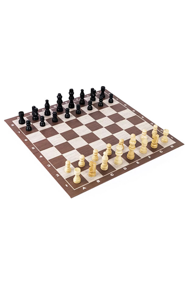 CHESS GAME WITH WOODEN BOARD - 6
