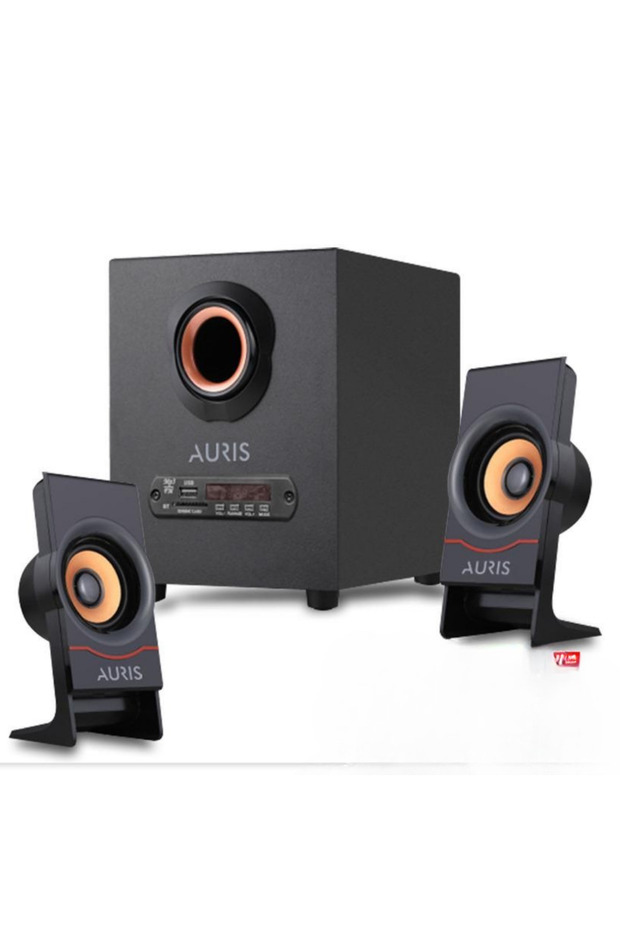 AURİS PCSP60 2+1 WİRELESS SES SİSTEMİ - 2