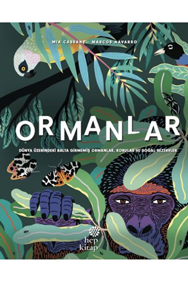 ORMANLAR - ÜZERİNDEKİ BALTA GİRMEMİŞ ORMANLAR