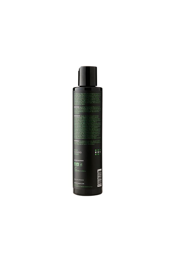 Rush Shampoo Erkekler Için Ferahlatıcı Saç Ve Baş Derisi Bakım Şampuanı 200ml - 4