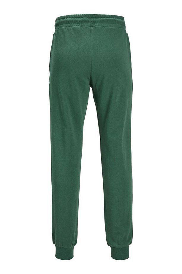 JPSTGORDON JJSWIFT SWEAT Yeşil Erkek Eşofman Altı - 2