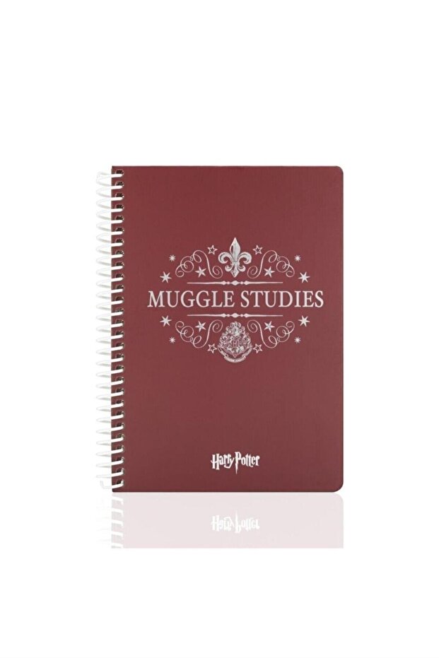 Back To School Muggle Studies - 3