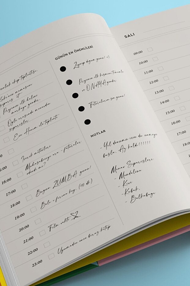 Plan Tarihsiz Ajanda - 3