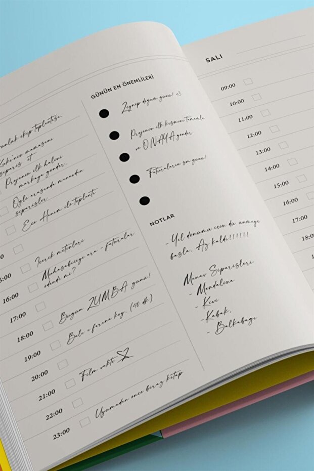 Plan Tarihsiz Ajanda - 3