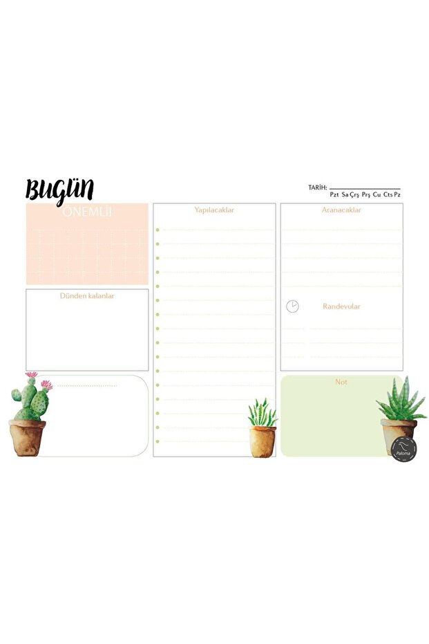 Cactus Patterned Timeless Daily Plan