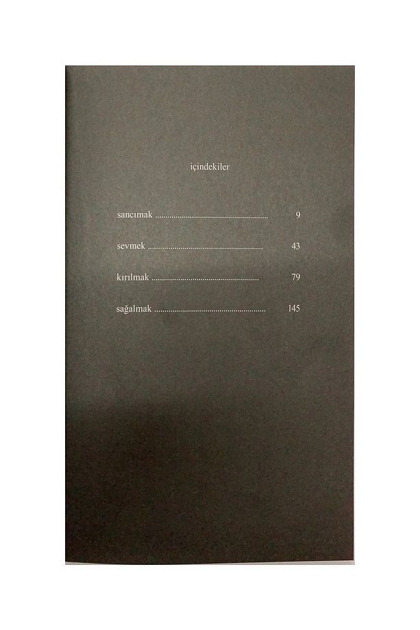 Süt Ve Bal - Rupi Kaur - 2