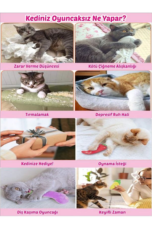 Kedi Oyuncağı Peluş Catnip ve Zilli İnteraktif,Stres Azaltıcı, Rahatlatıcı Oyun Arkadaşı - 6
