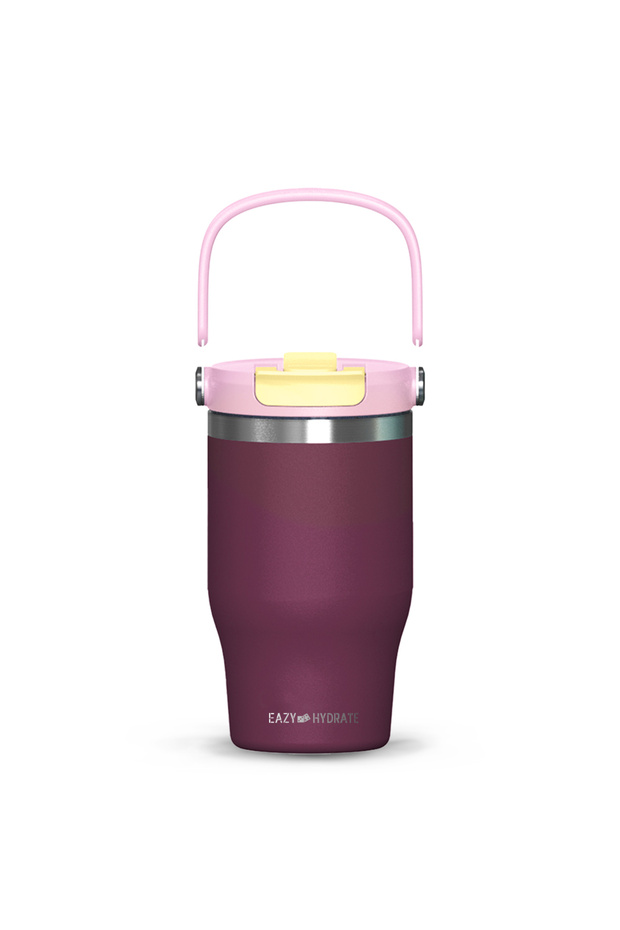 Vacuum Insulated Tumbler w/ handle, 500ml Purple
