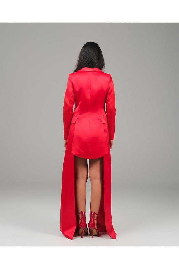Opera Elbisesi - İpek Elbise Blazer - 6