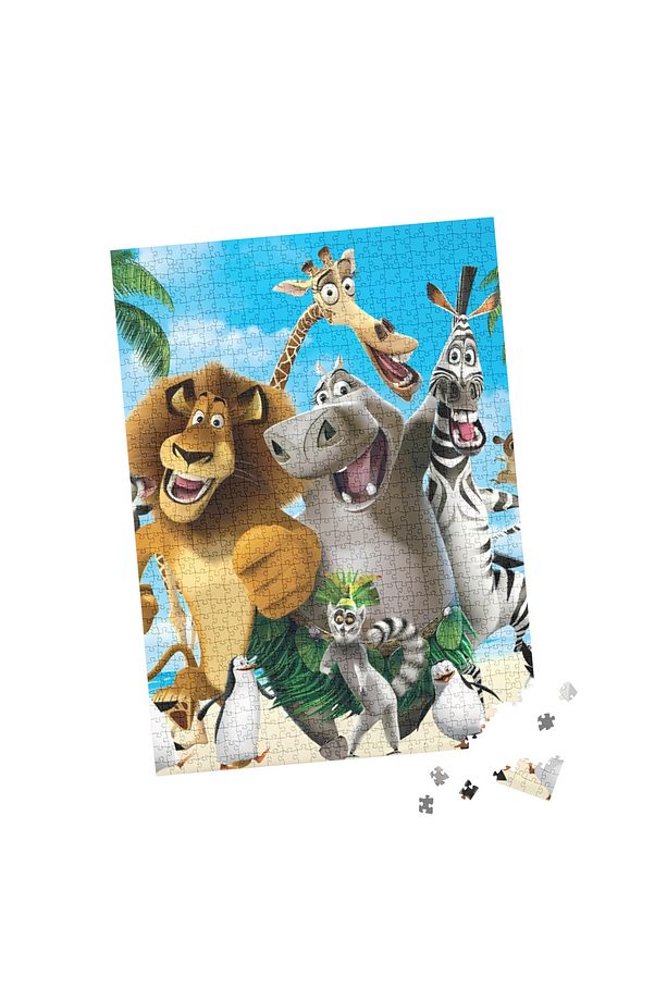 100 Parça Puzzle Çift Tasarım Tek Kutu Zebra - 4