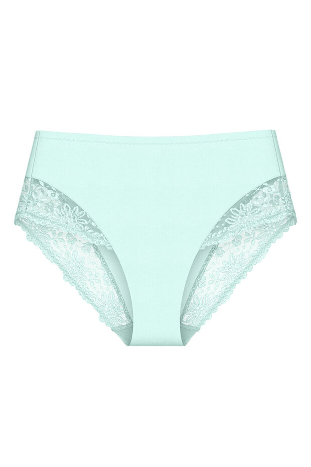 Women's Classic High Waist Briefs 10210671 Blue - 1