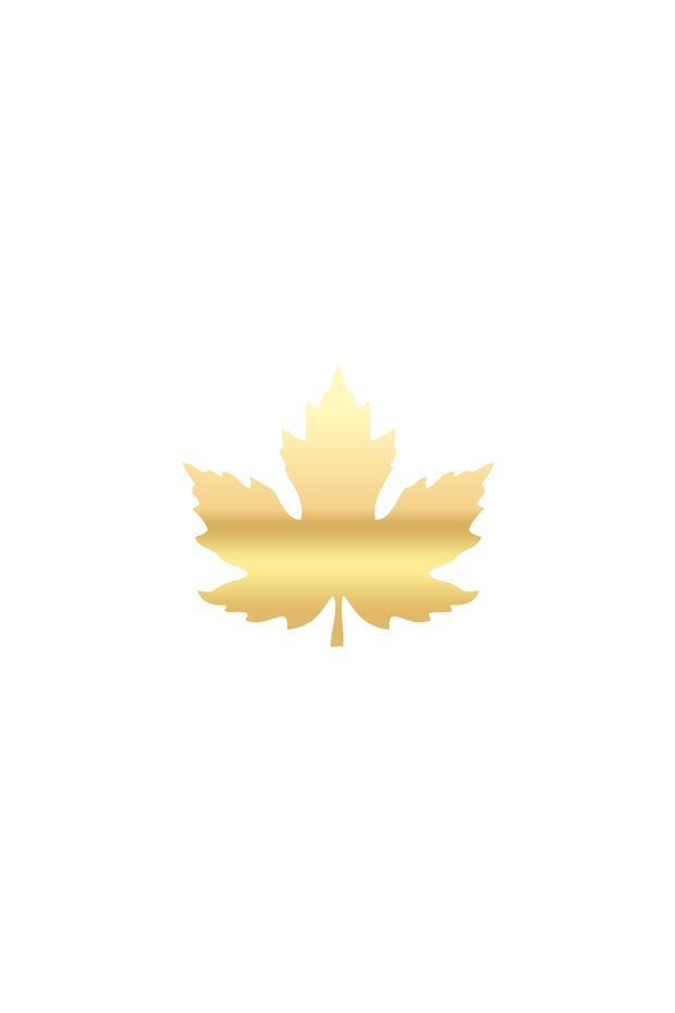 Plane Leaf Car Sticker 17X17 cm Gold