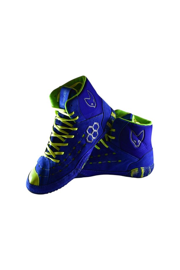 BOKS GÜREŞ MMA KİCK BOKS AYAKKABISI - 1