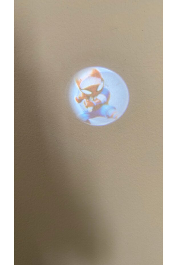 Reflective Keychain with Light and Indicator - 7