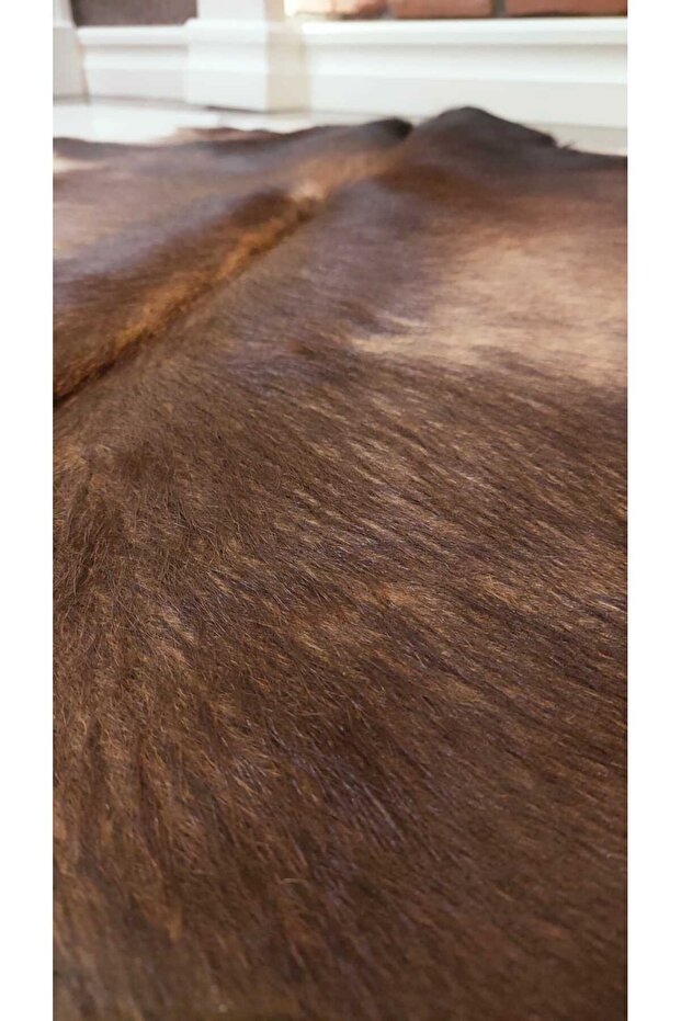 HAKİKİ DANA POST HALI - 4