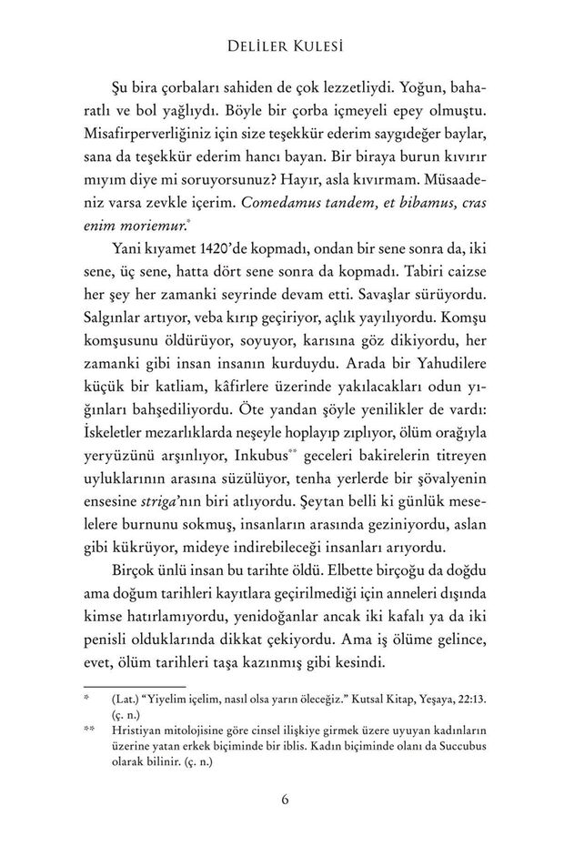 Deliler Kulesi - Hussit Üçlemesi 1| Andrzej Sapkowski - 5