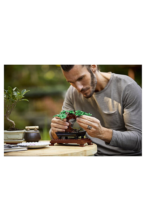 Bonsai Ağacı 10281 - 6