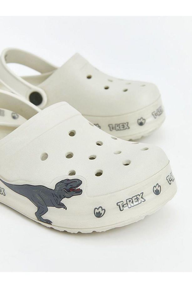 LCW STEPS Dinozor Baskılı Erkek Çocuk Plaj Sandaleti - 3