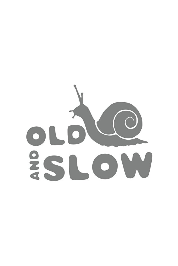 Old and Slow Snail Car Sticker 17X17 cm Gray