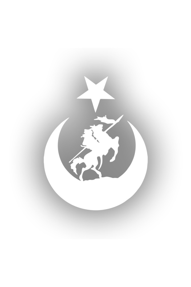 Falcon and Moon Star Turkish Flag Car Sticker 17X17 cm White