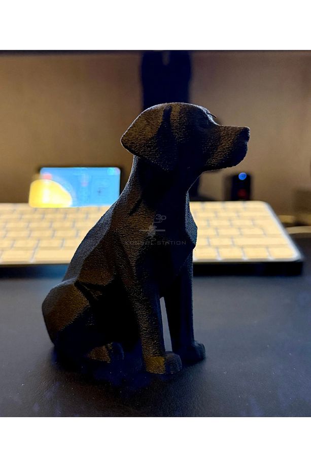 Labrador Masaüstü Dekoru - Dekoratif Köpek Biblo - 4
