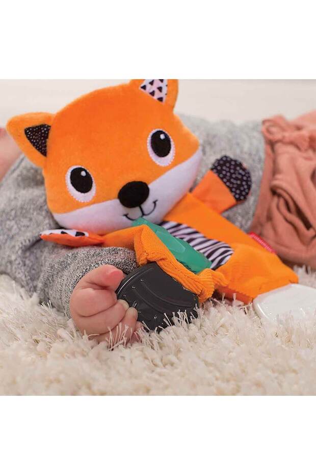 Diş Kaşıyıcılı Sevimli Tilki - 4